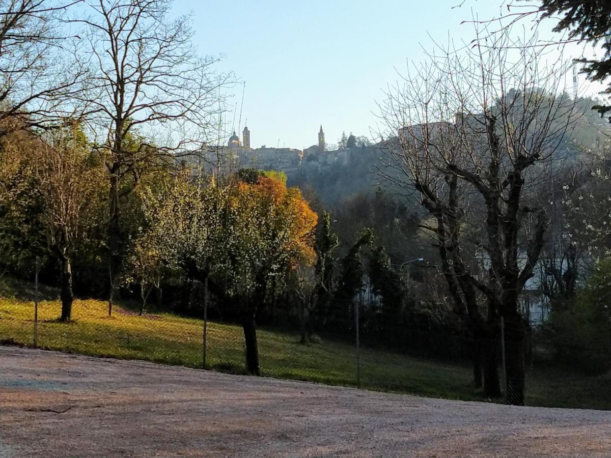 B&B Il Torchio-Urbino Exterior photo