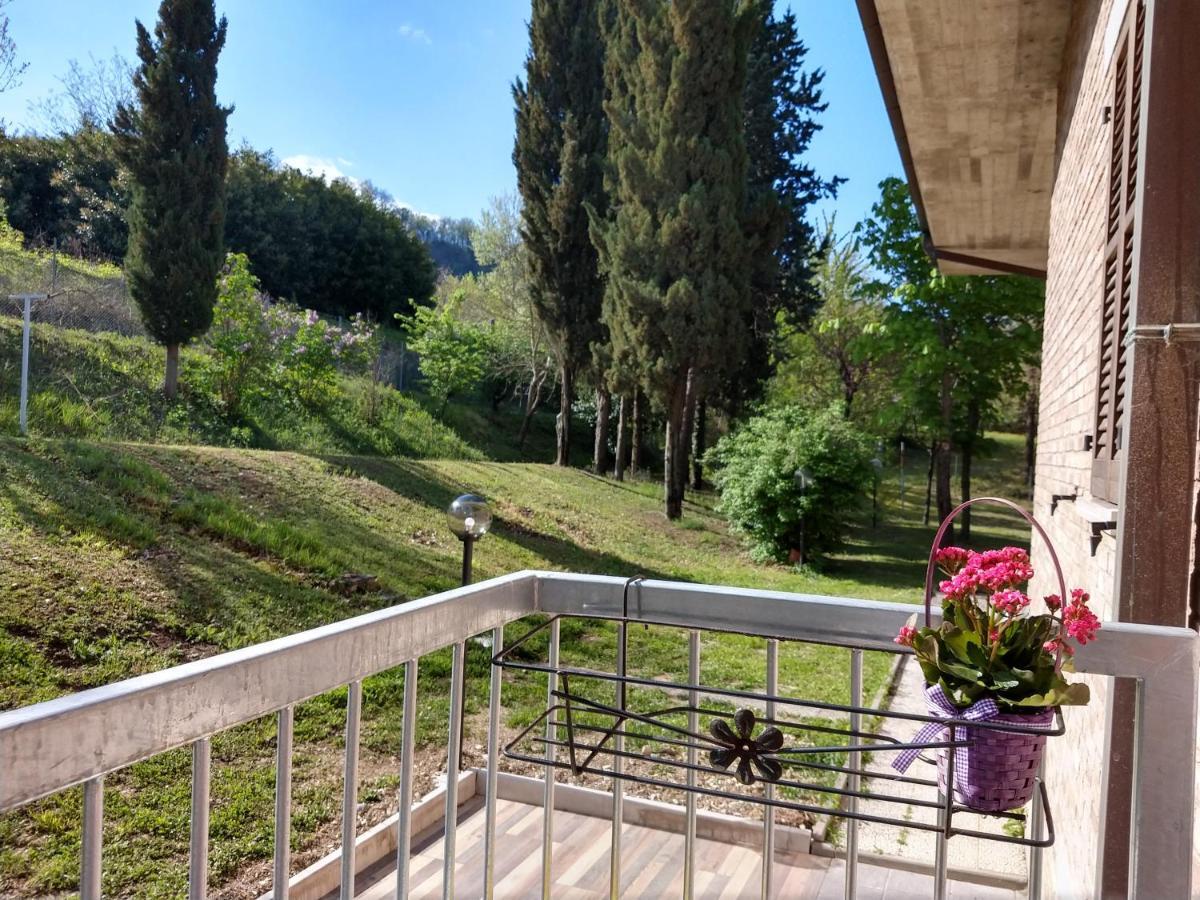 B&B Il Torchio-Urbino Exterior photo